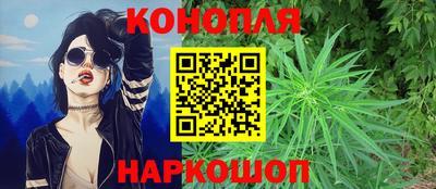 сатива Кунгур