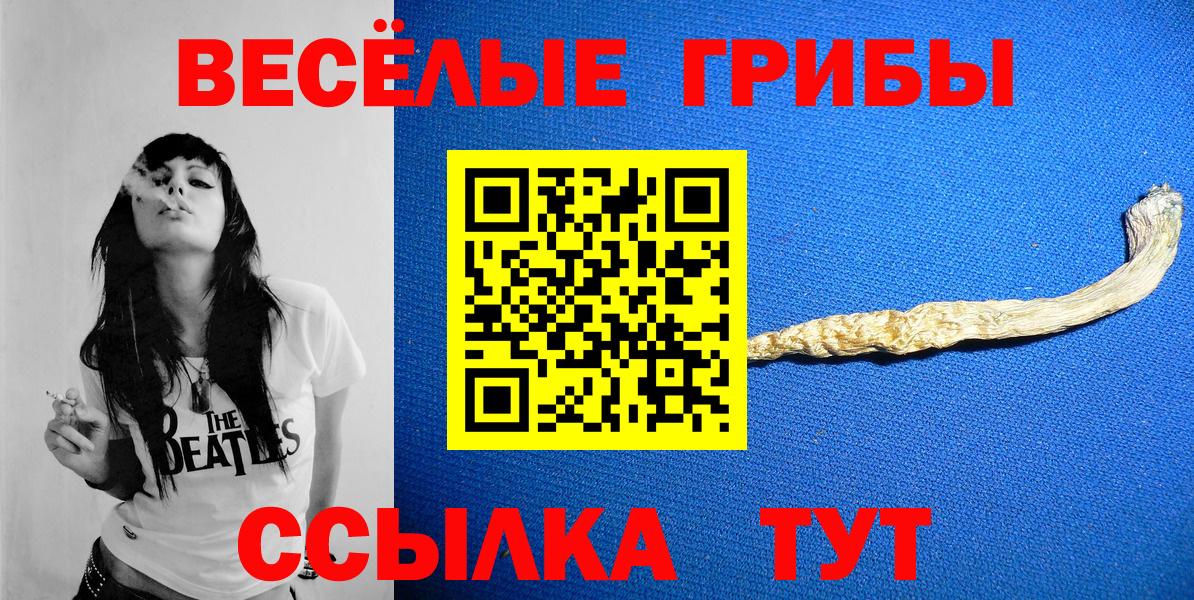 Галлюциногенные грибы Psilocybe  Галлюциногенные грибы мицелий  Вход с VPN  Зима 